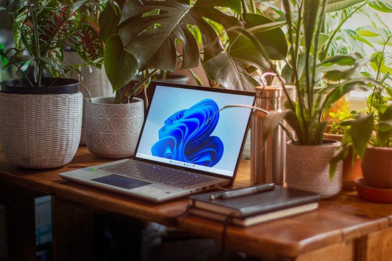 How to set gif image as wallpaper on Windows 11 | Techniqworld.com